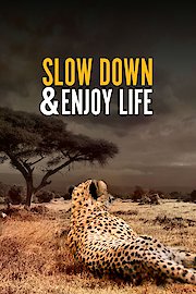 Slow Down And Enjoy Life