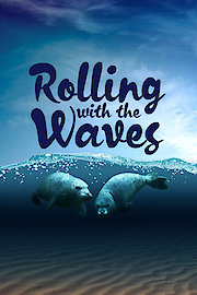 Coasts: Rolling with the Waves
