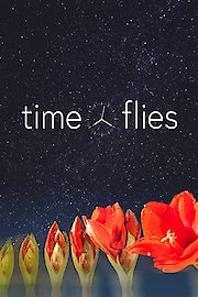 Time Flies