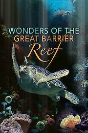 Wonder of the Great Barrier Reef with Iolo Williams