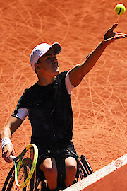 Maximilian Taucher - Luiz Calixto