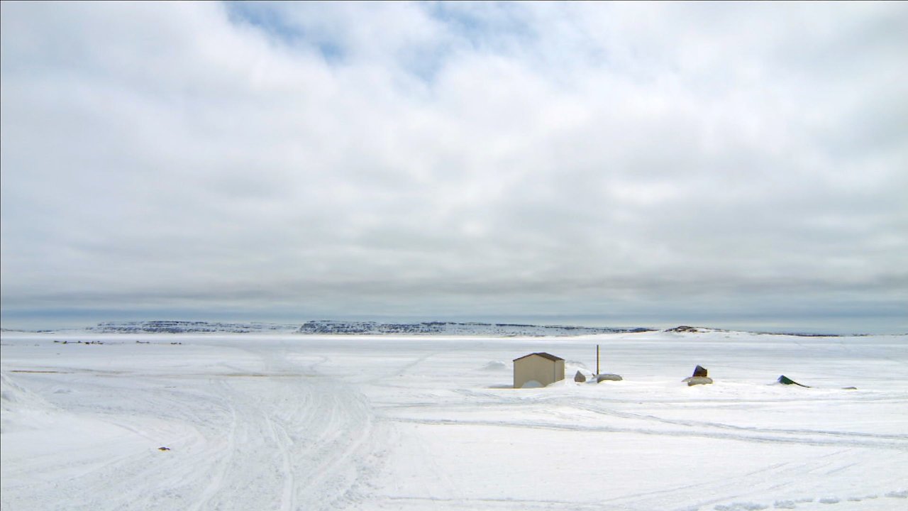 Those Who Come, Will Hear