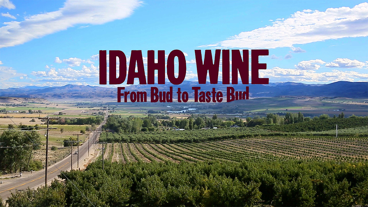 Idaho Wine, From Bud to Taste Bud