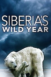 Siberias Wild Year