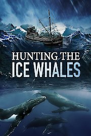 Hunting the Ice Whales