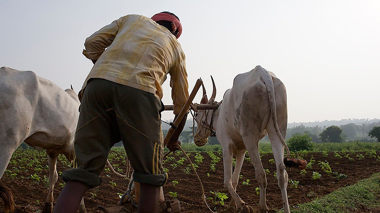 The Dispossessed Les D