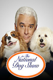 The National Dog Show
