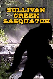 Sullivan Creek Sasquatch