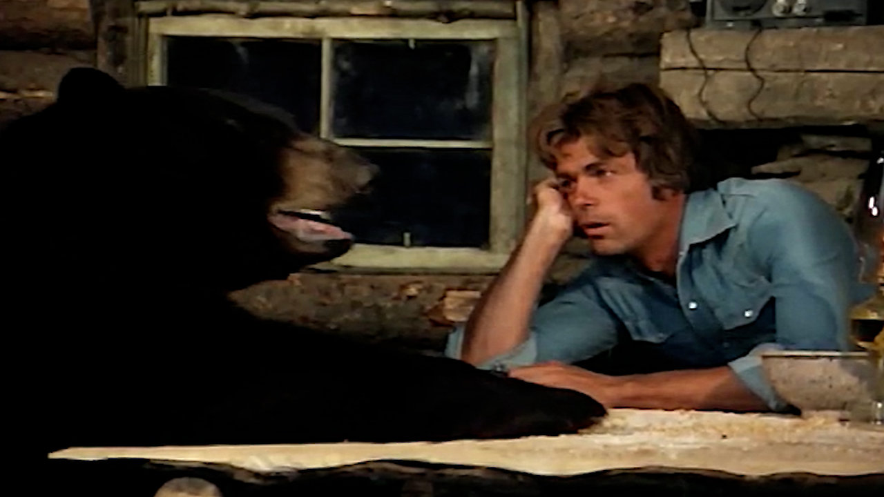 Adventures of the Wilderness Family