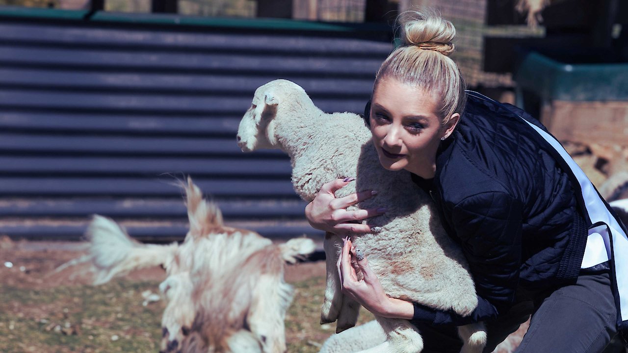 Yols And the Models Discover Australia