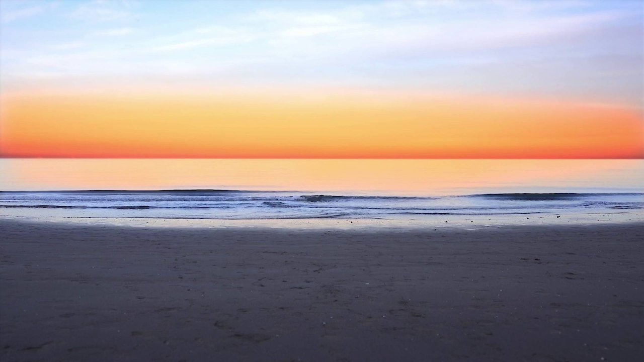 Zen Wellness: Tranquility