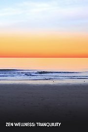 Zen Wellness: Tranquility
