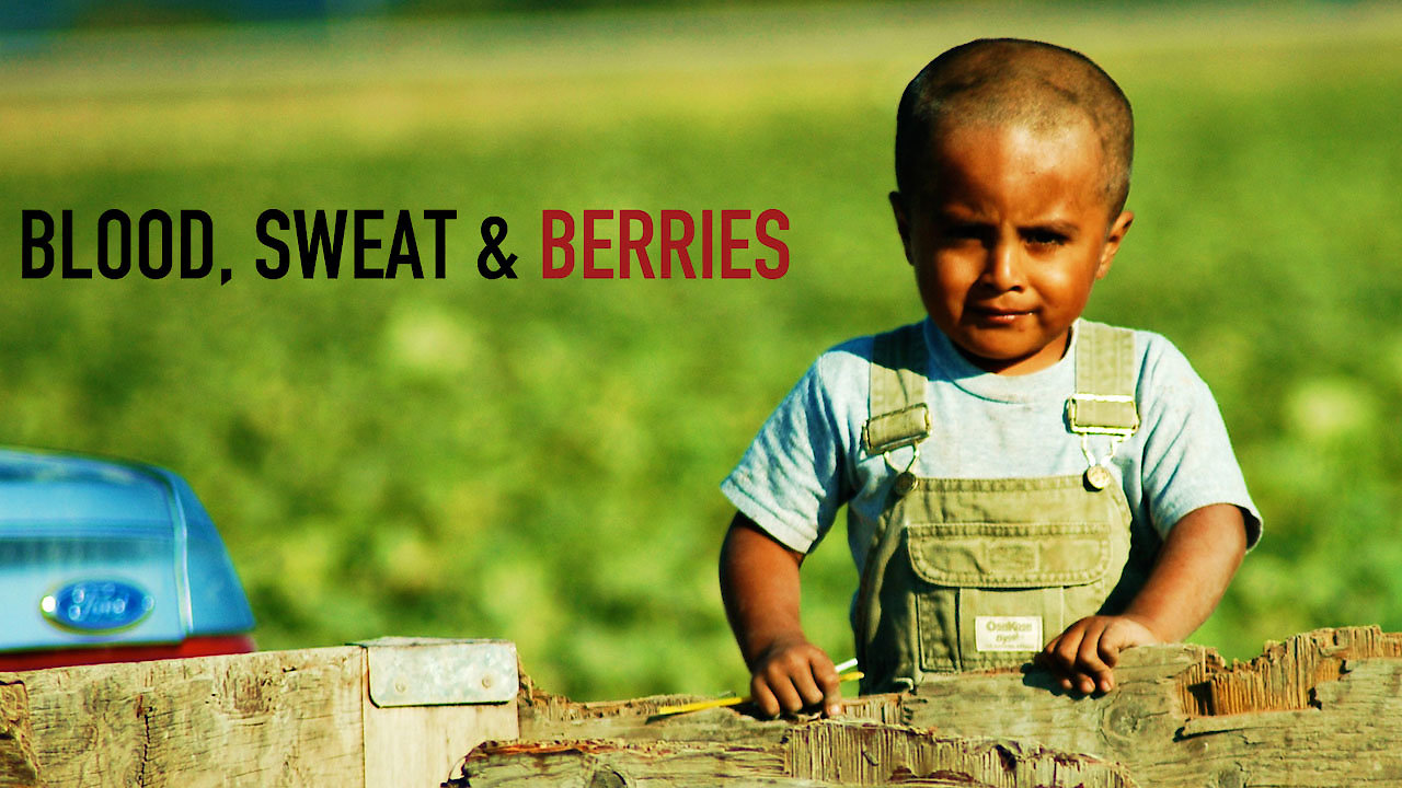 Blood, Sweat and Berries: A Documentary