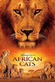 African Cats