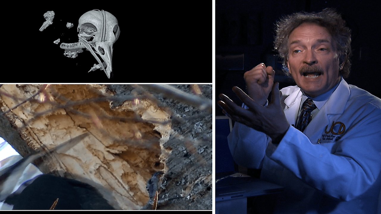 Funny Side of Science