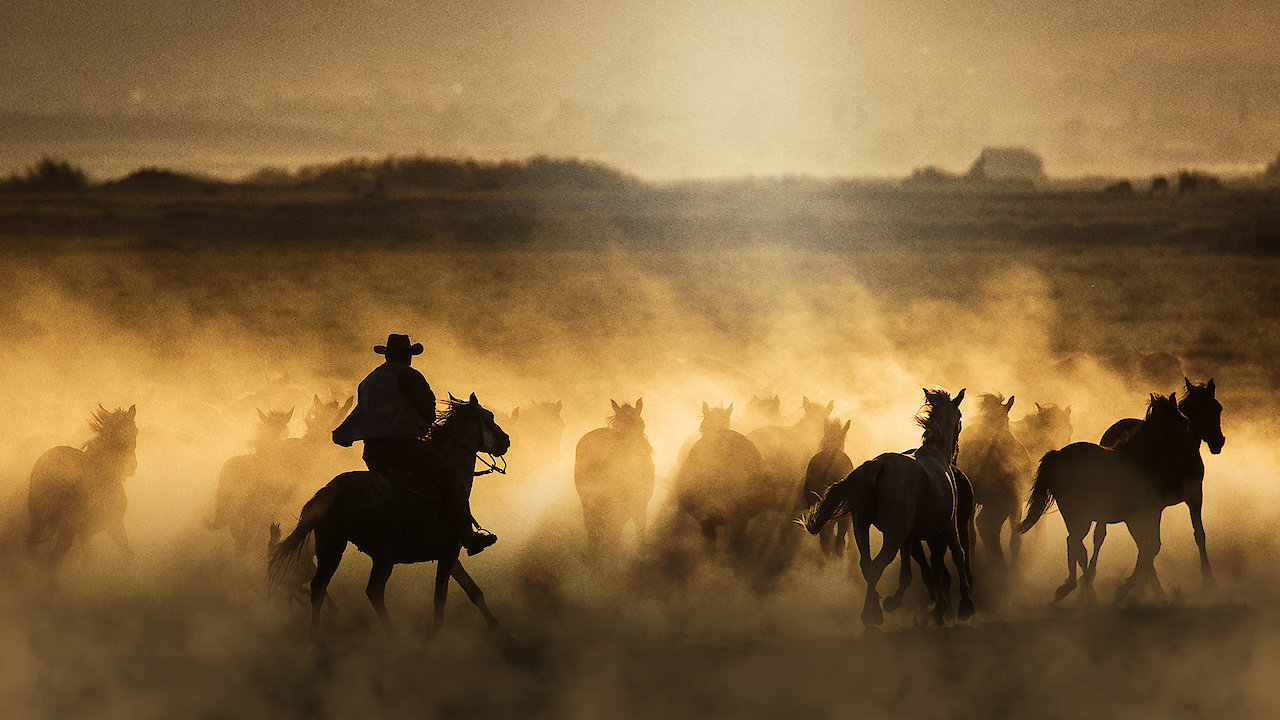Freedom on the Range