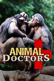Animal Doctors