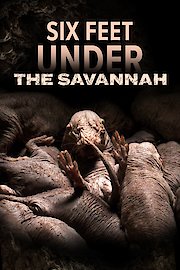 Six Feet Under the Savannah