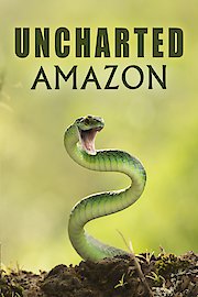 Uncharted Amazon