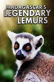 Madagascars Legendary Lemurs