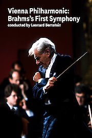 Vienna Philharmonic: Brahms