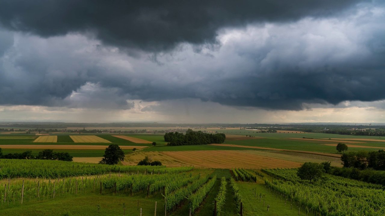 Zen Nature: Soothing Thunder and Rain