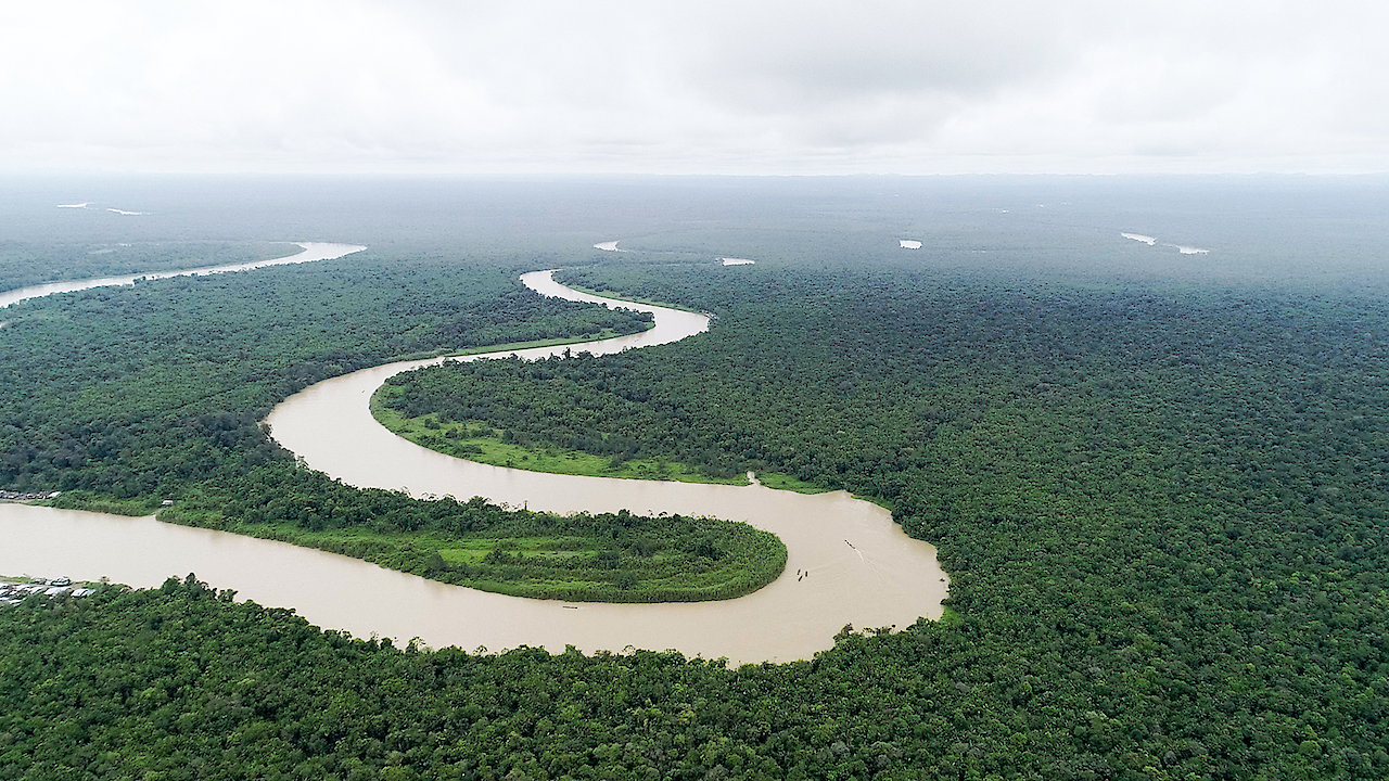 Bojaya: Caught in the Crossfire