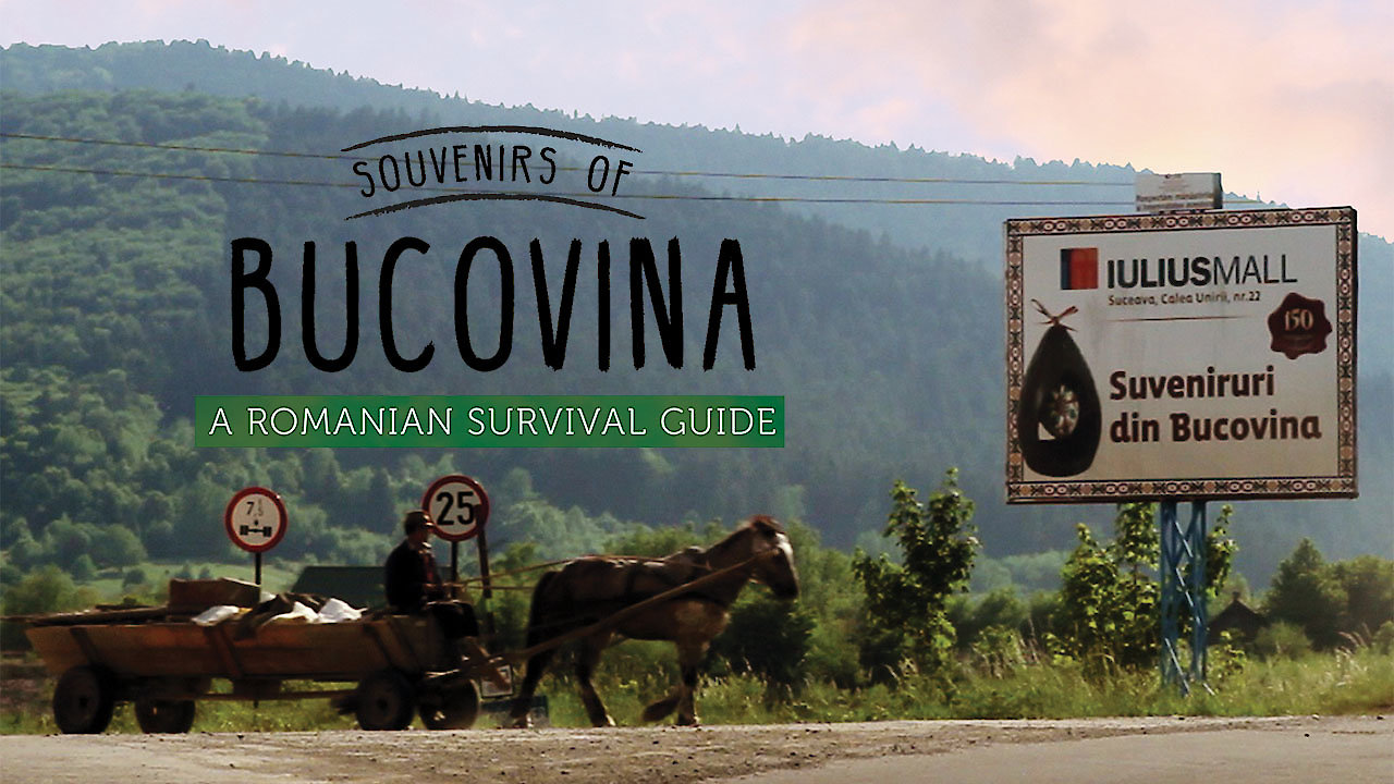 Souvenirs of Bucovina: A Romanian Survival Guide