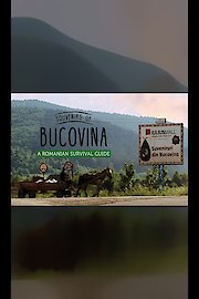 Souvenirs of Bucovina: A Romanian Survival Guide