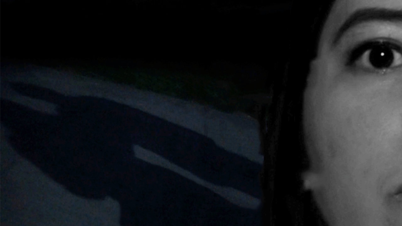 Left for Dead: the Kristene Chapa Story