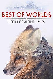 Best of Worlds Life at its Alpine Limits