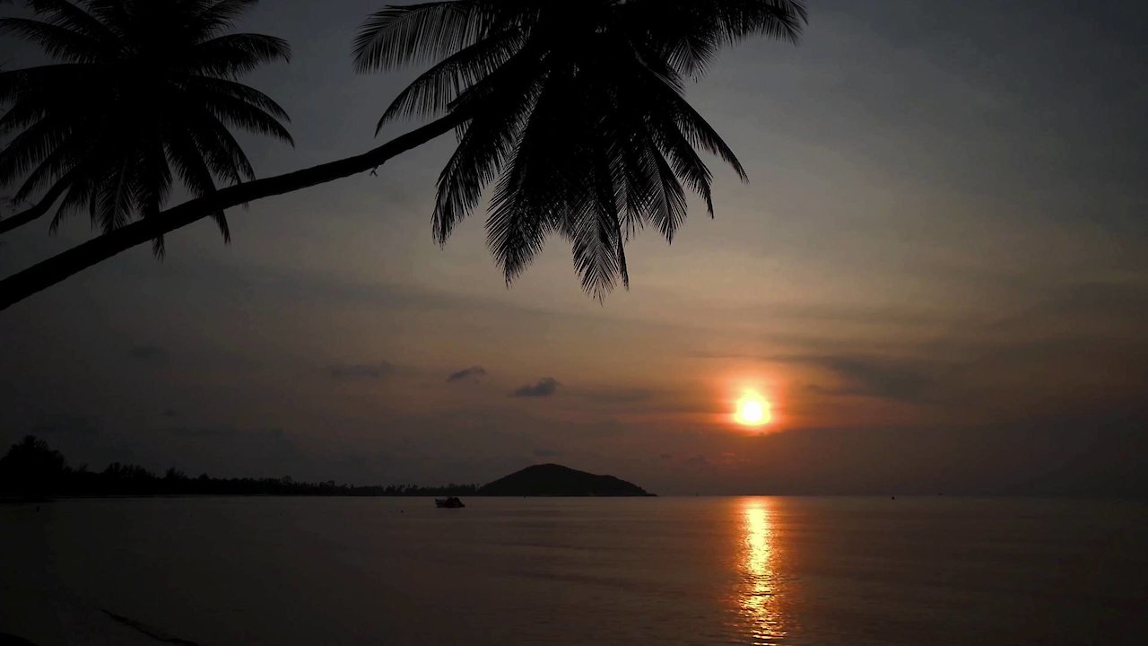 Zen Sleep: Sleepy Beach Waves