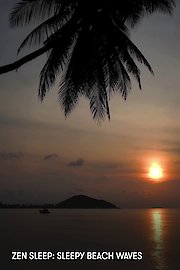 Zen Sleep: Sleepy Beach Waves