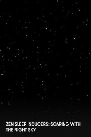 Zen Sleep Inducers: Soaring with the Night Sky