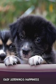 Easy Listenings: Happiness