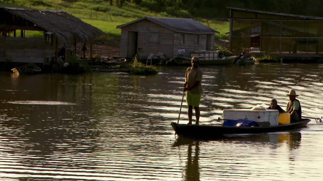 The World from Above