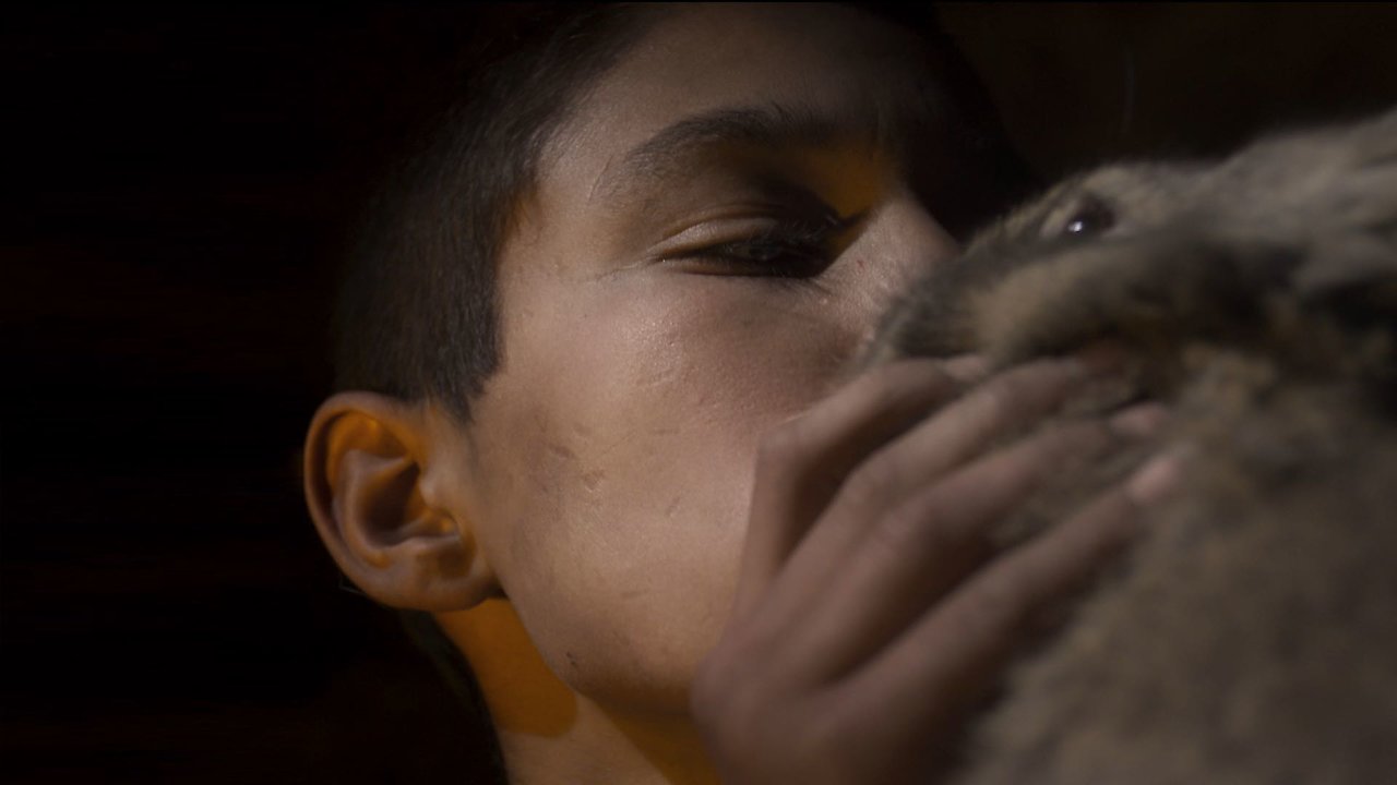 Empire of the Rabbits