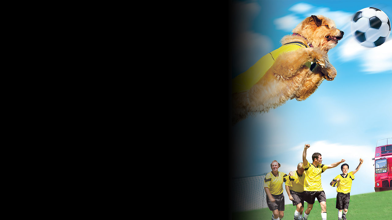 Kimble - Fotbollshunden