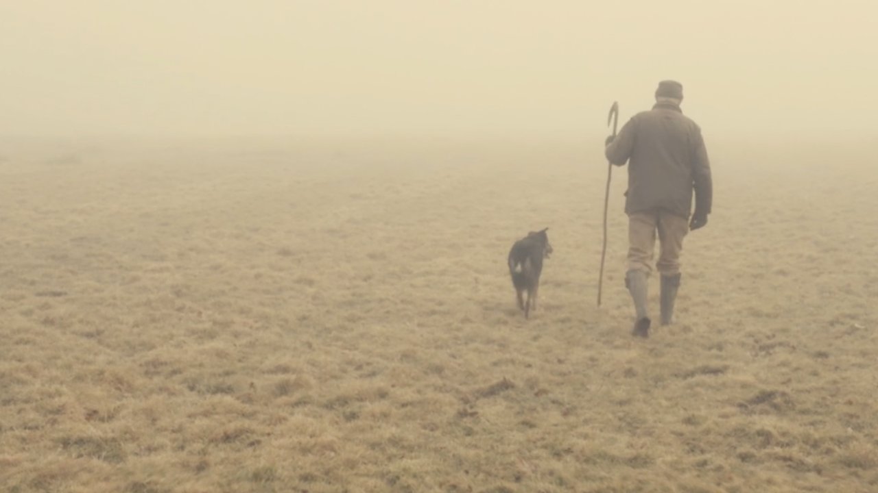 The Old Man and the Land