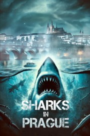 Sharks in Prague