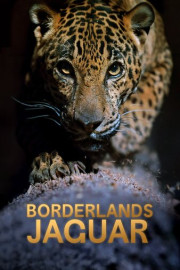 Borderlands Jaguar