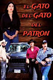 El gato del gato del patrón