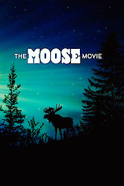 The Moose Movie