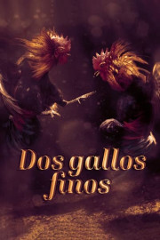 Dos gallo finos