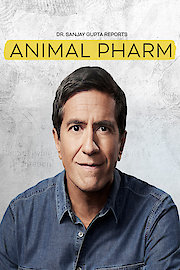 Animal Pharm