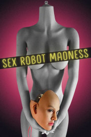 Sex Robot Madness