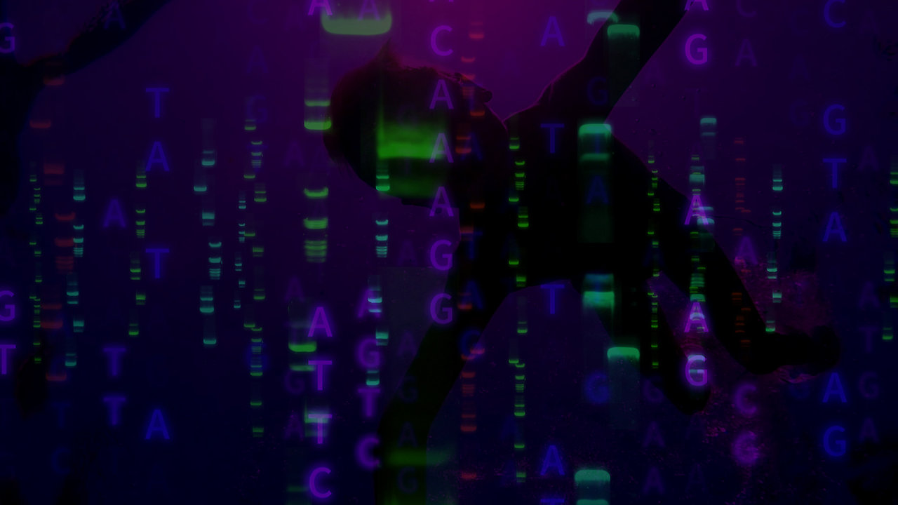 In The Name Of The Gene