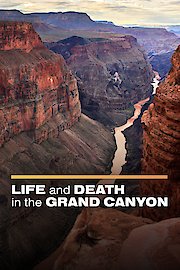 Life and Death in the Grand Canyon