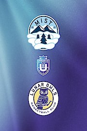 Mist vs. Lunar Owls