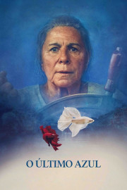 The Blue Trail